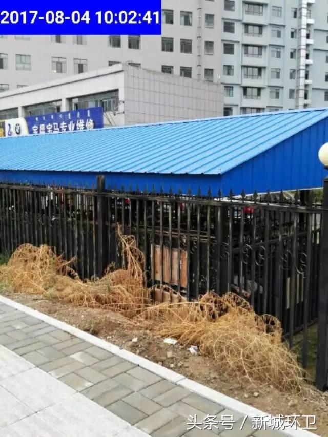 环境卫生最新整治,环境卫生整治限期整改通知书