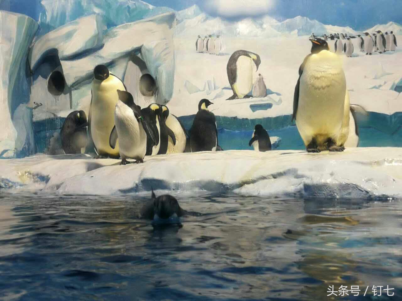 夏天与海绝配,夏天与海洋更配的图片