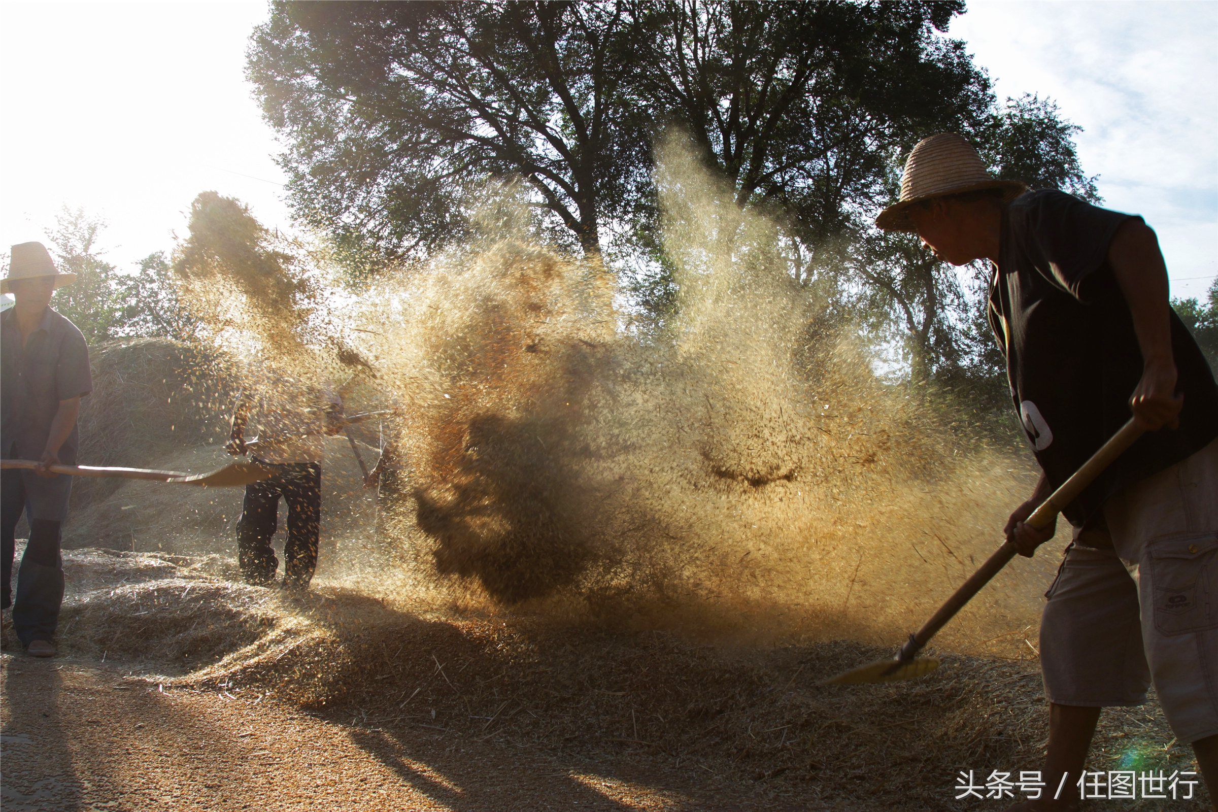 炎炎夏日发的句子,炎炎夏日乡村的说说