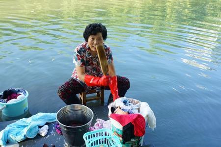 新手养花必备药水和肥料,懒人花盆养花花根处放什么