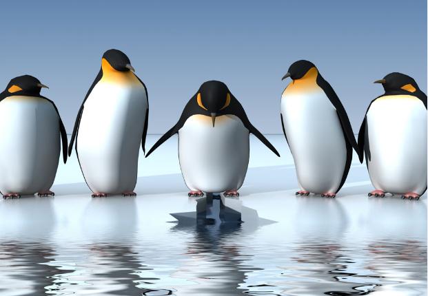 企鹅号正式运营没有推荐量怎么办,企鹅号如何提升内容质量