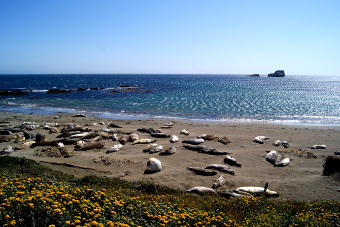 大色尔，加州绝美一号公路最精华