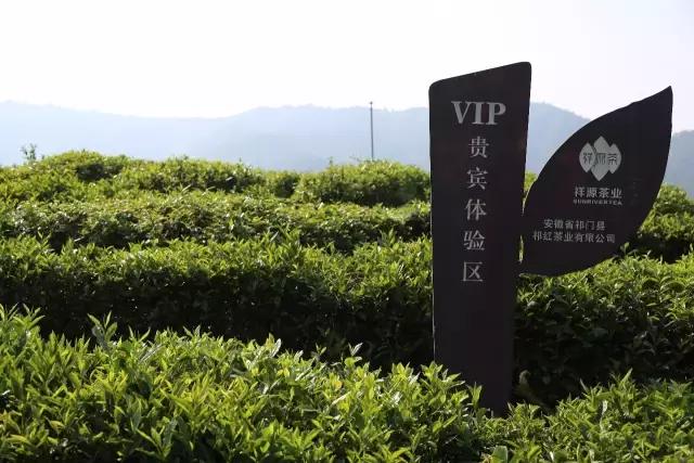 小产区祥源茶,小产区祥源茶礼盒