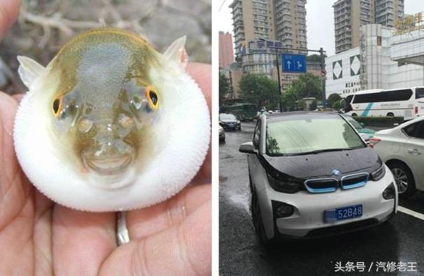 天上下着蒙蒙小雨,这宝马敞篷车挺有个性,披着1张破塑料纸就上路了