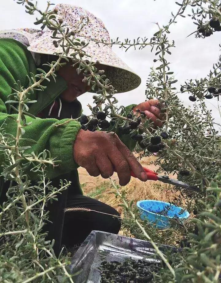 90后女生回到家乡创业,90后姑娘只身创业打拼