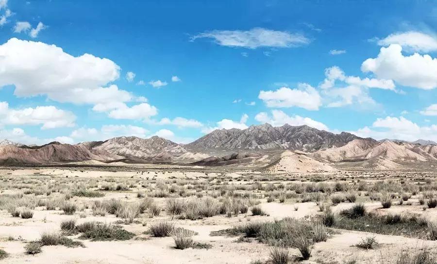 90后女生回到家乡创业,90后姑娘只身创业打拼