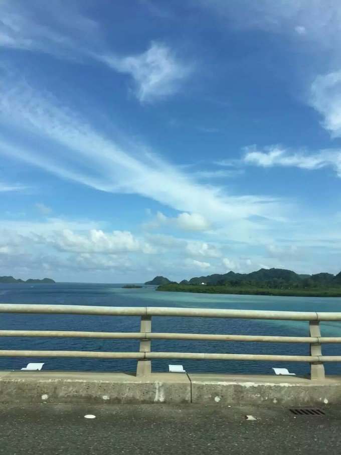 看鲨鱼，玩泥巴，看男人穿婚纱，带你看不一样的帕劳