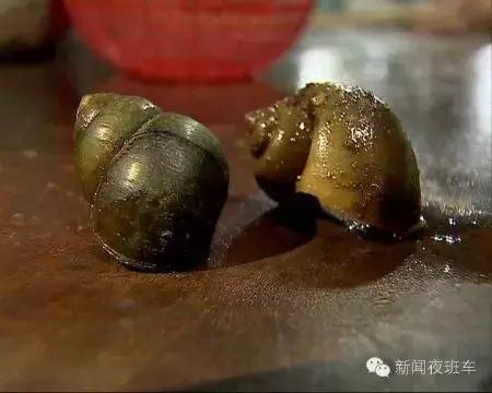 田螺吃中毒,爆炒螺蛳中毒