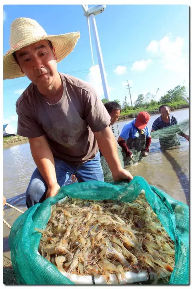 摸着良心讲，昆明关上某饭店，虾肉好吃到甩市区饭店10多条街