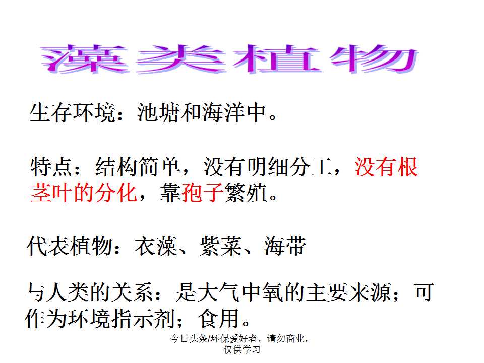 认识植物从身边开始,认识植物的根茎叶各个部分