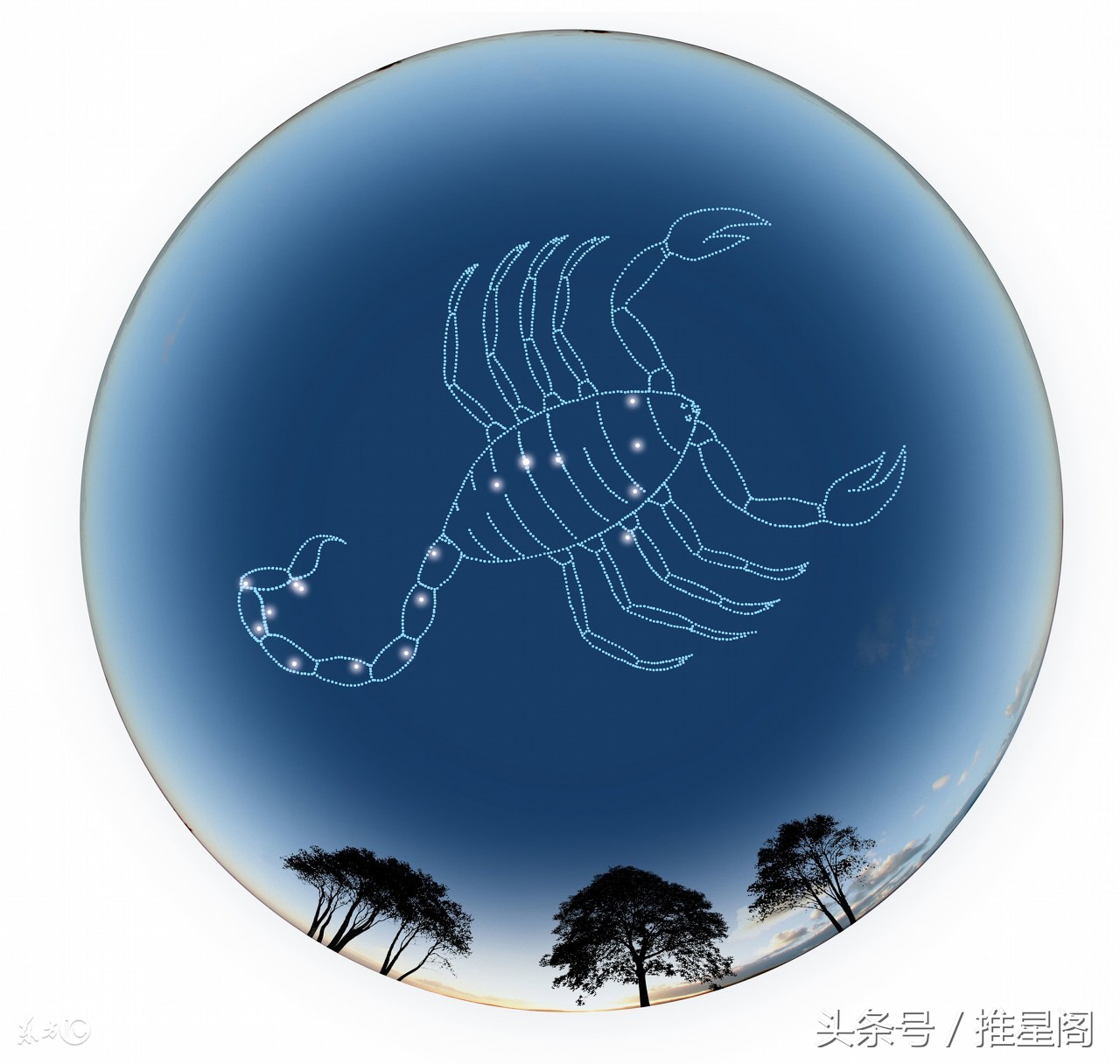 天蝎座男和什么座女配,天蝎座女生和什么座最配