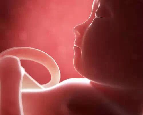 女人一生能承受几次药物流产,女人一辈子可以承受几次流产