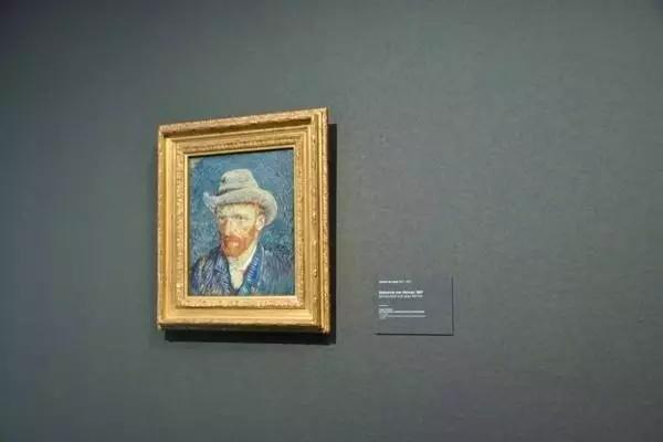 荷兰现在能不能去,什么时候不能去荷兰