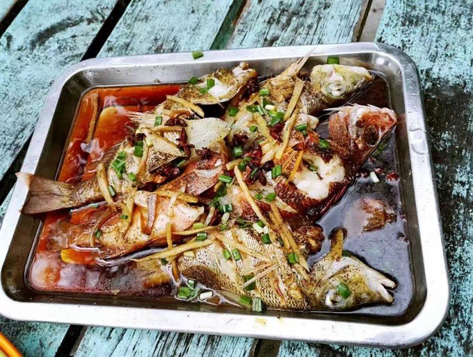 一起去帕劳旅游,去帕劳旅游自由行攻略