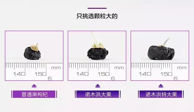 90后女生回到家乡创业,90后姑娘只身创业打拼