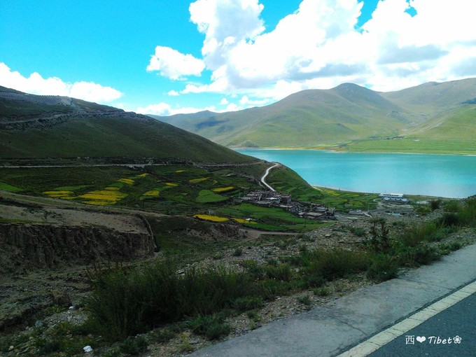 奥古斯都,August的格桑花秘境：我养你！带你去*藏西**啊！