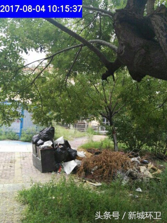 环境卫生最新整治,环境卫生整治限期整改通知书