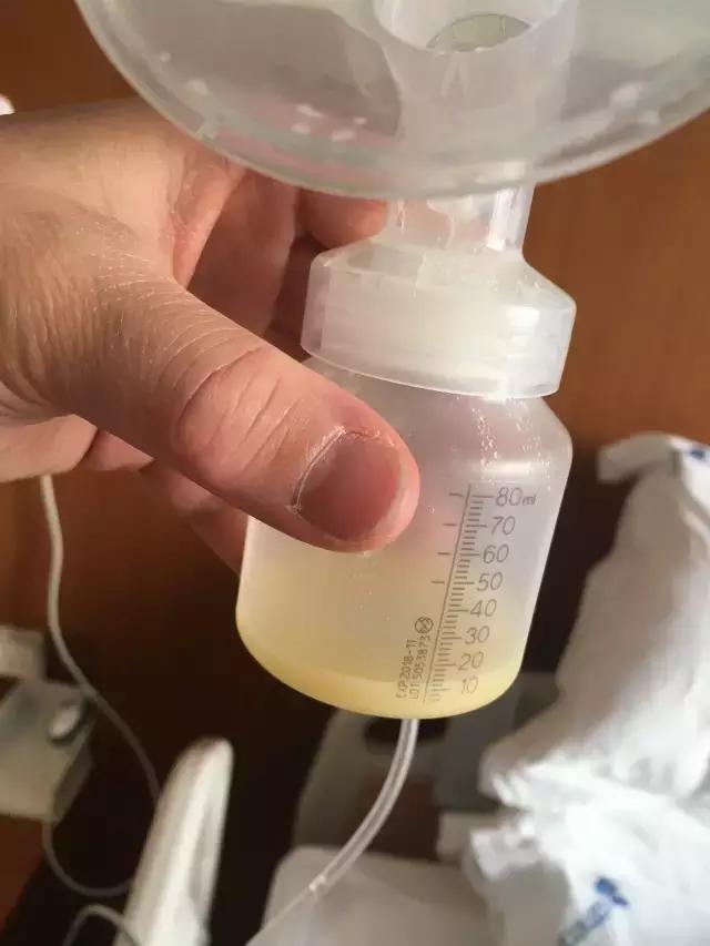 禧月阁套餐,禧月阁感悟