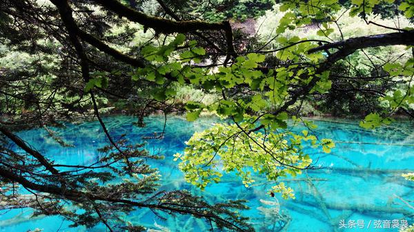 什么季节最适合去九寨沟,什么季节适合九寨沟旅游