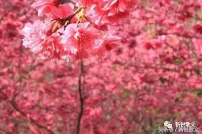 文登有意思的地方,来威海必须去的景点