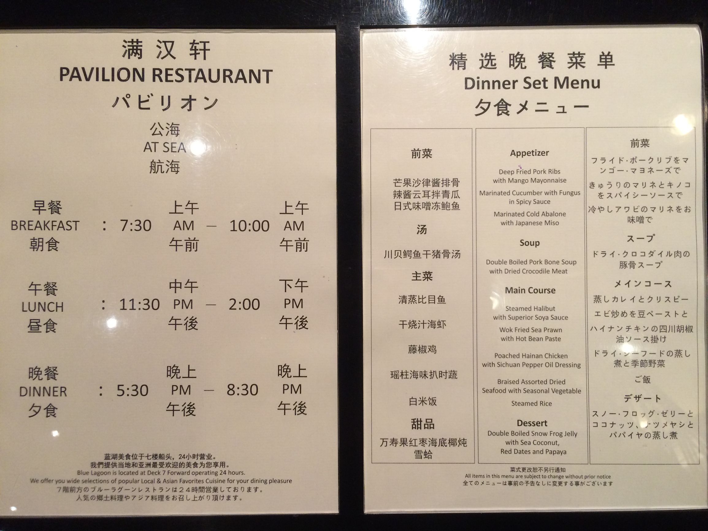 丽星邮轮8天7晚自由行攻略,丽星邮轮双子星号日本攻略