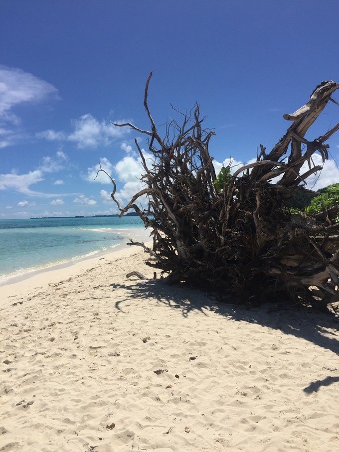 一起去帕劳旅游,去帕劳旅游自由行攻略