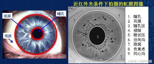 手机最难破解的锁屏是什么,各品牌手机息屏解锁