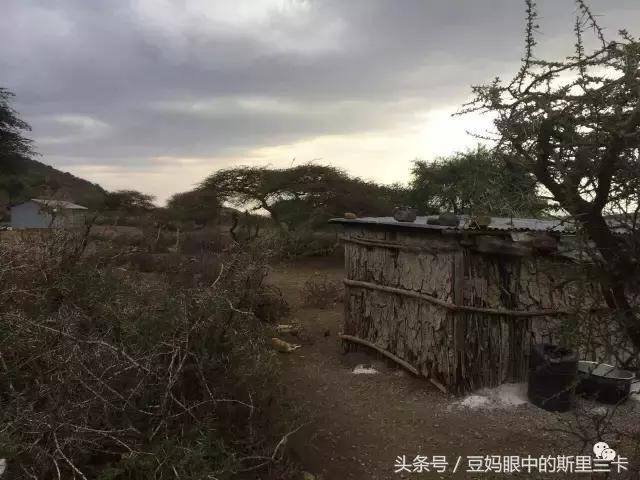 风动？树动？心动！致你，Kenya