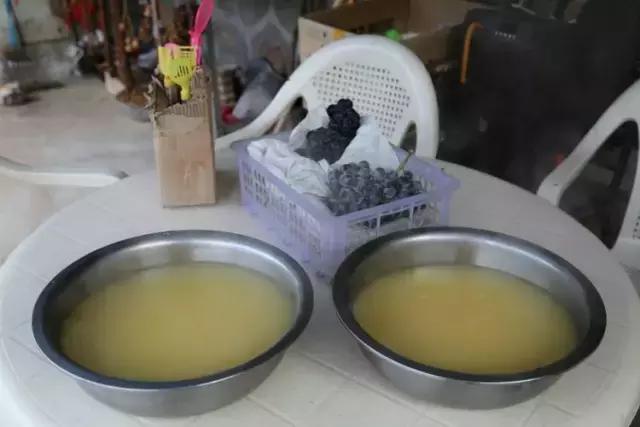 山西历山舜王坪大草原攻略,看云海高山草甸的地方