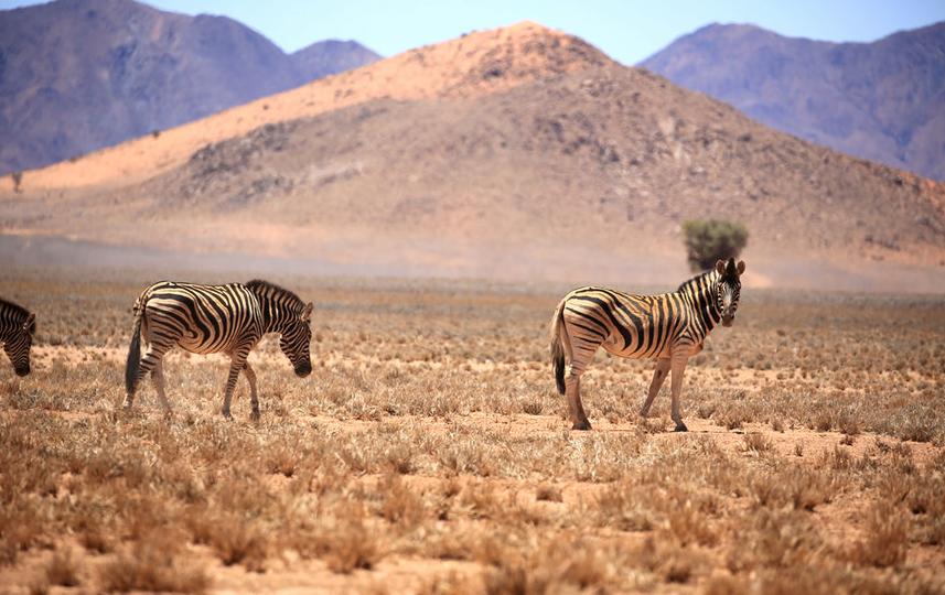 来到纳米比亚，你会知道什么才是非洲应有的样子！