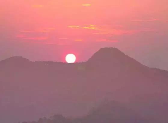 花如此多娇,花都如此多娇全文免费阅读