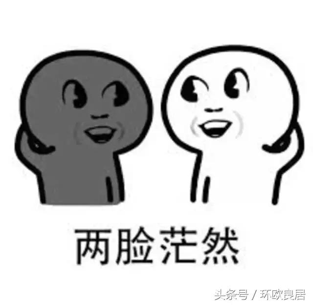 在荷兰真实感受,在荷兰两年的感受