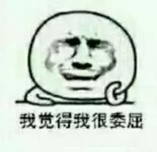 你听说过”反泰迪联盟“和”人形泰迪“吗？养泰迪凭啥要被歧视？