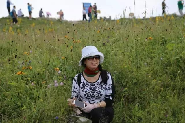 山西历山舜王坪大草原攻略,看云海高山草甸的地方