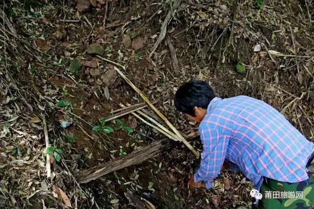 笔架山，一座仙游人必读的山