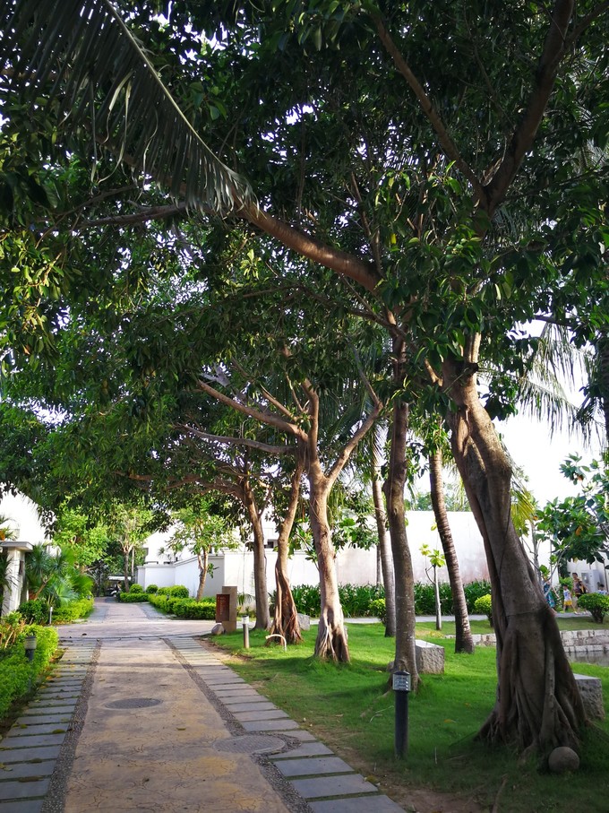 带着老妈和宝贝游三亚（两家铂尔曼和亚龙湾红树林度假之旅）