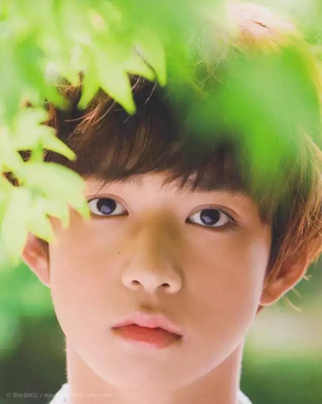 日本犬系男生代表男星,犬系日本男明星