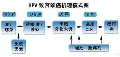 关于hpv你要知道的事,关于hpv你想知道哪些问题