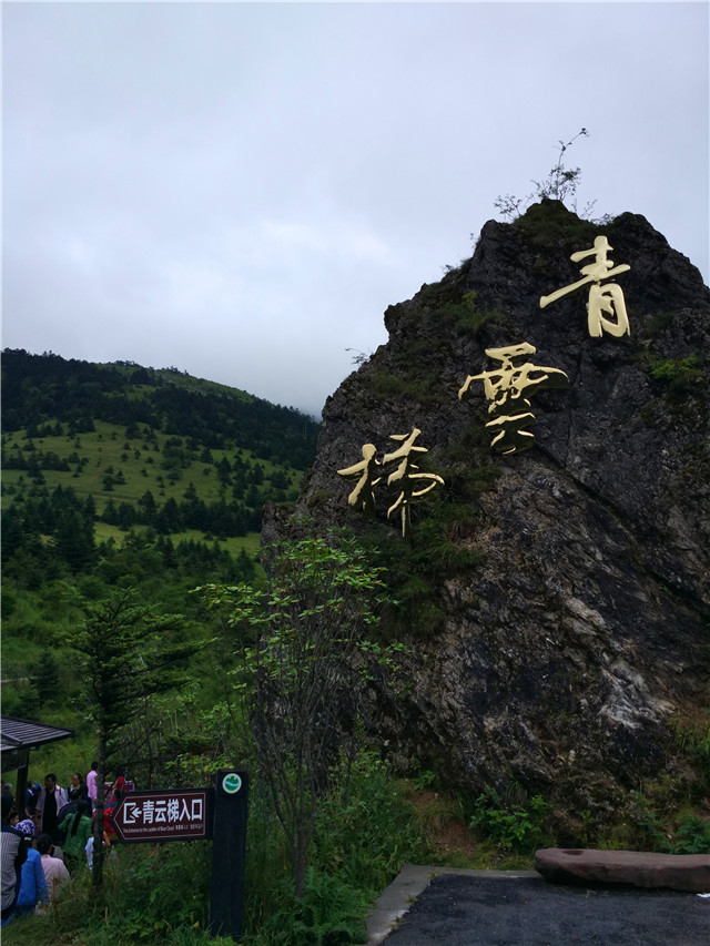 近期神农架自驾游攻略,2020年6月神农架大九湖自驾游攻略