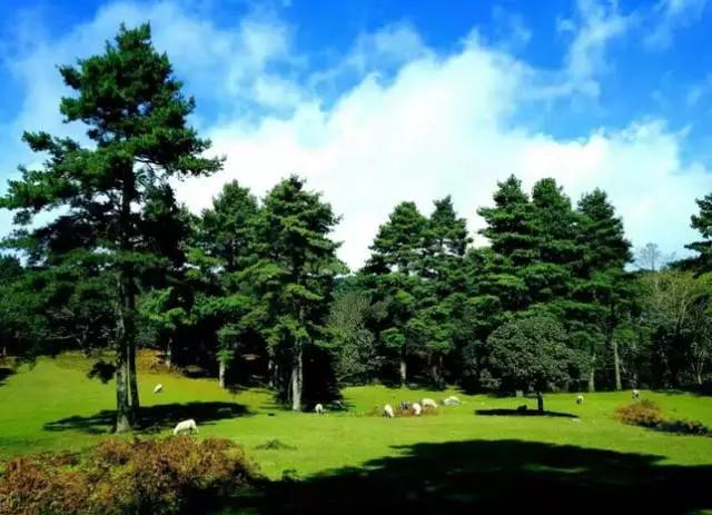 云南昆明悠闲的夏天避暑环境,昆明周边最好的避暑城市