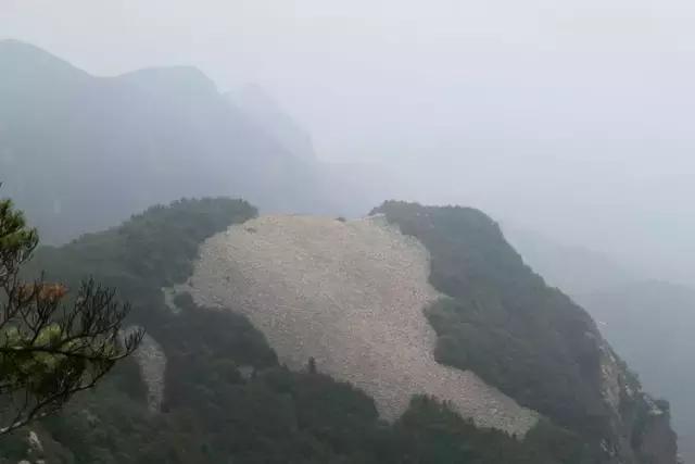 山西历山舜王坪大草原攻略,看云海高山草甸的地方