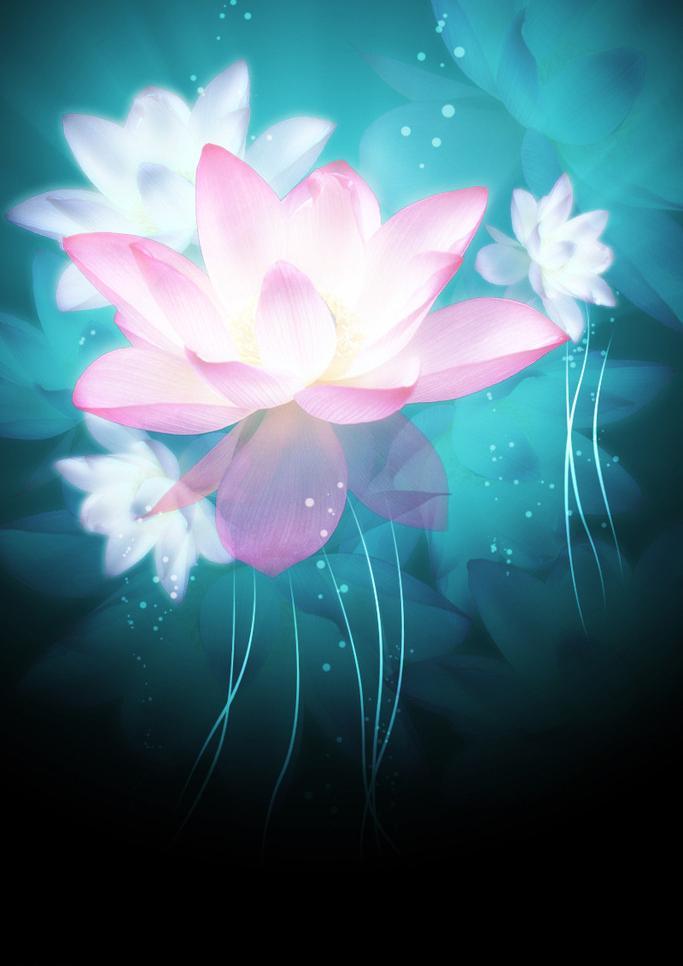 到底有轮回没有,究竟有无轮回