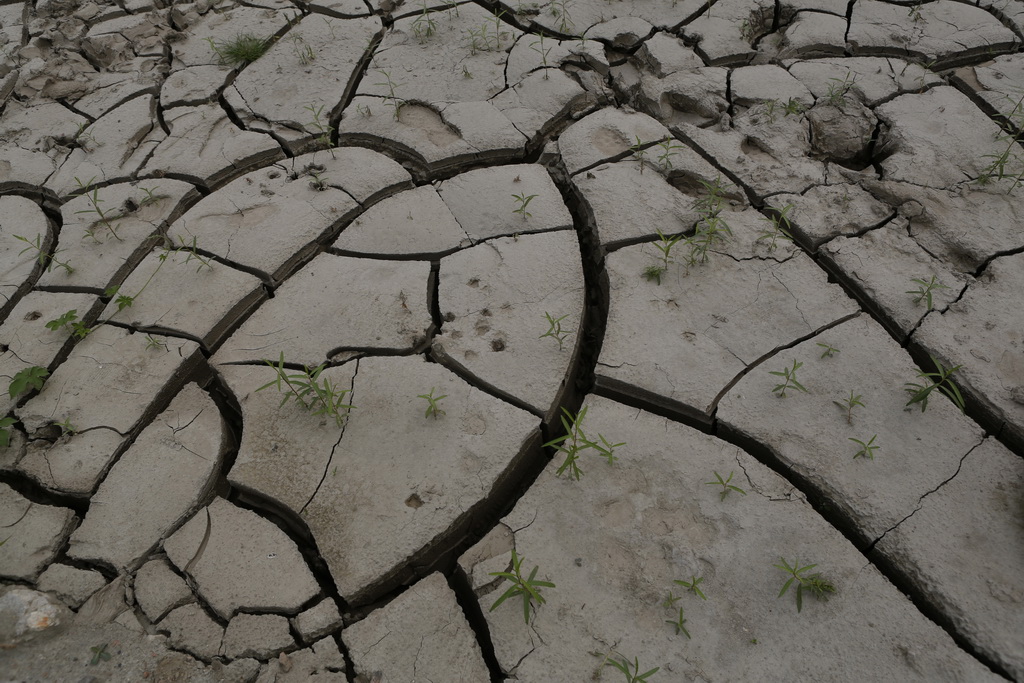 大武汉系列之武汉冶炼厂,大武汉系列之武汉印染厂