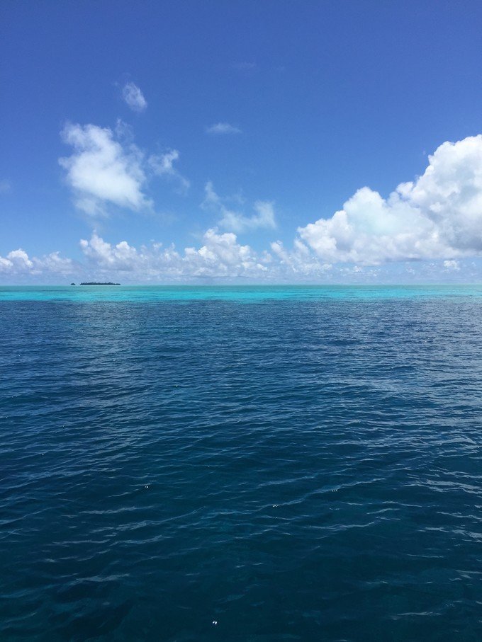 一起去帕劳旅游,去帕劳旅游自由行攻略