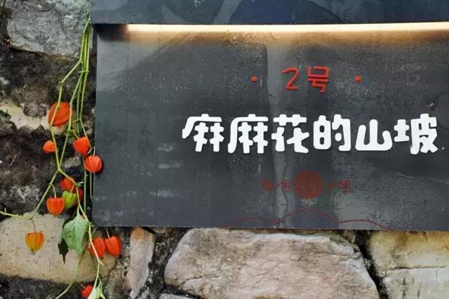 “麻麻,那是什么花?”“麻麻花呀!”