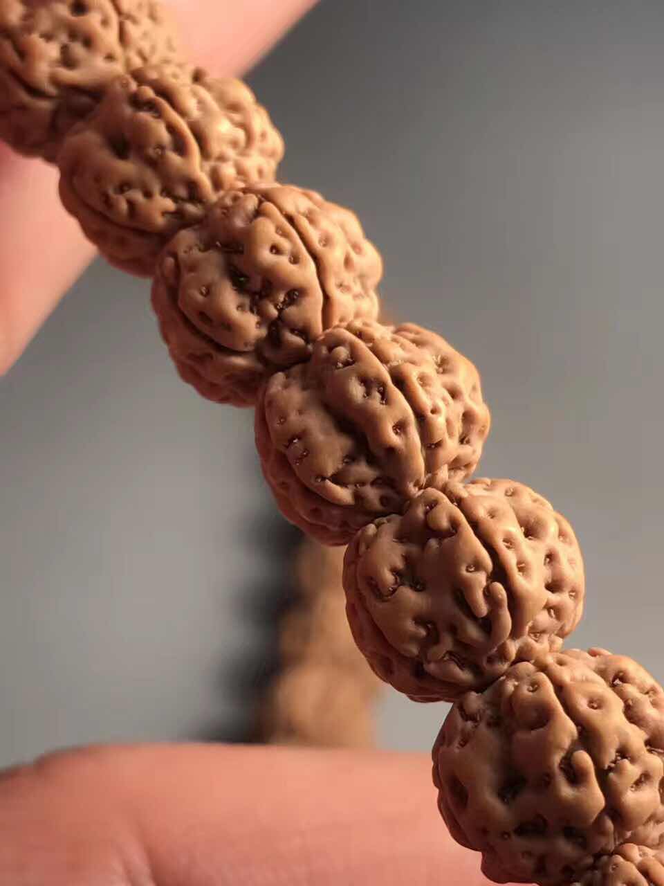 史上最全的小金刚菩提子介绍,再也不用担心被忽悠了!