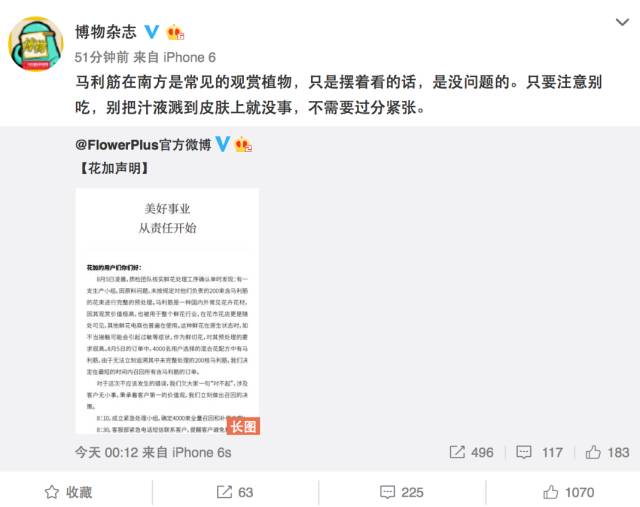 flowerplus怎么了,flowerplus花加女神节