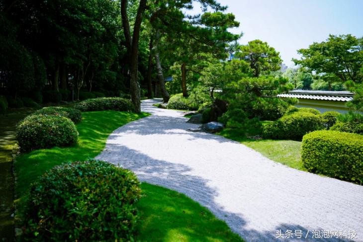 索尼微单a9最新消息,索尼a9新微单