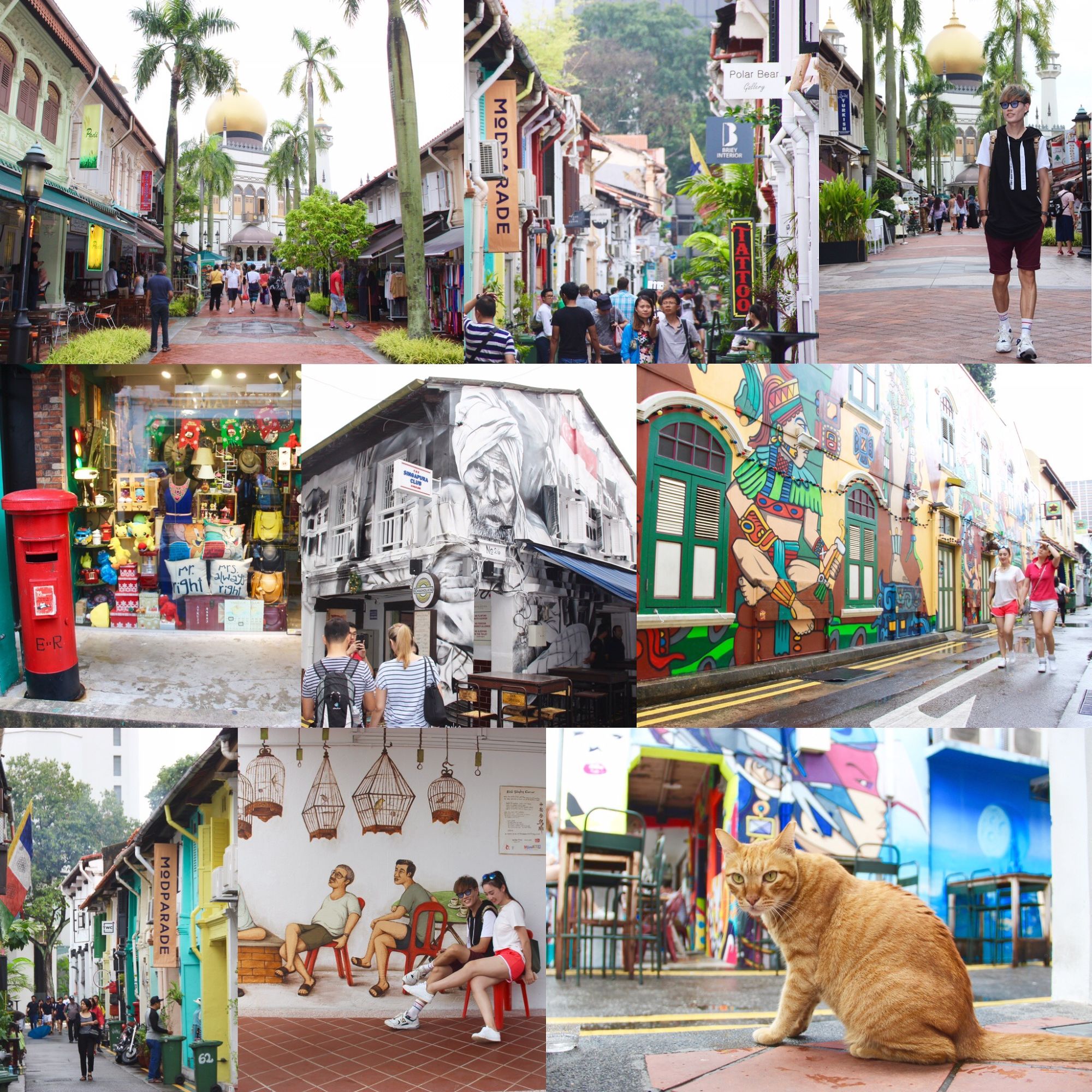 新加坡七天旅游攻略,7天新加坡之旅