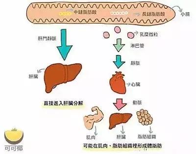 月饼如何吃不浪费,月饼是一定要回油才好吃吗